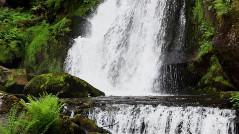 Mountain waterfall in the summer forest. Stock Footage 252687584