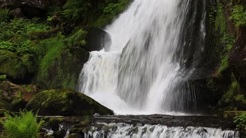 Mountain waterfall in the summer forest. Stock-Footage 252687883