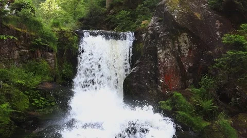 Mountain waterfall in the summer forest. Stock Footage 252688492