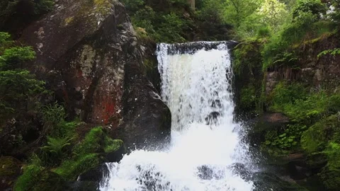 Mountain waterfall in the summer forest. Stock Footage 252689165