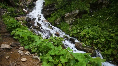 Mountain waterfall at summer green forest Stock Footage 92239735