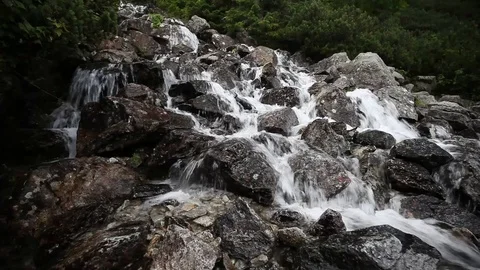 Mountain waterfall at summer green forest. Summer nature video Stock Footage 101929297