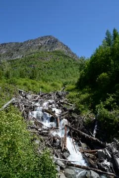 Mountain Waterfall Through Logs Stock Photos