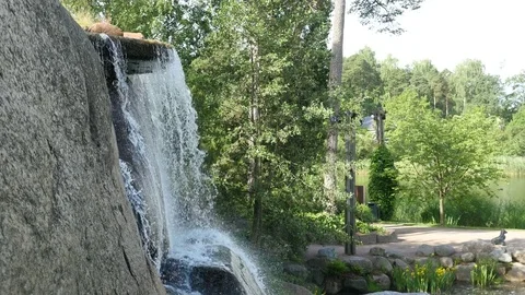 Mountain waterfall. Water flow in the forest Stock-Footage 80884540