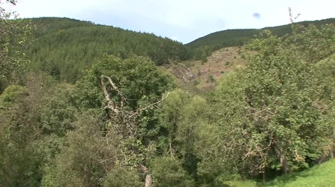 Mountain waterfall in the woods Stock Footage 42307112