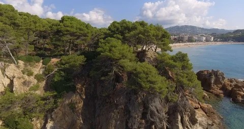 Mountain wild cliff forest to Beach Coastline reveal Stock Footage 102515691