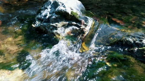 Mountain wild river valley landscape. landscape along  Veleka river  Stock Footage 117047557