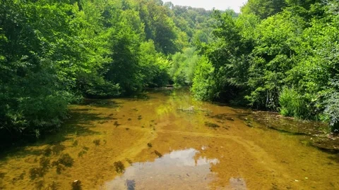 Mountain wild river valley landscape. landscape along  Veleka river Bulgaria. 스톡 동영상 256037778
