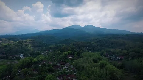 Mountain wilis Stock Footage 291489844