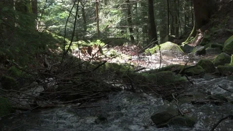 The mountain winding river flows among the rocks between the rocks and the fores Video stock 157943469