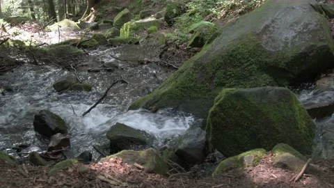 The mountain winding river flows among the rocks between the rocks 1. Stock Footage 157943485