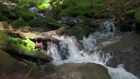 The mountain winding river flows among the rocks between the rocks Stock Footage 157943539
