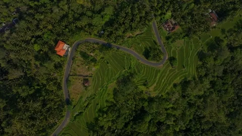 Mountain winding road. Drone View of Bali. Stock Footage 254022425
