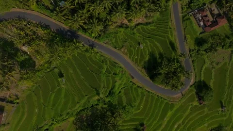 Mountain winding road. Drone View of Bali. Stock Footage 254840620