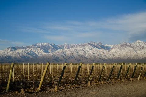 The Mountain Wine Stock Photos