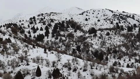 Mountain Winter Background Stock Footage 167855029