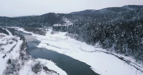 The mountain winter forest covered with snow with river Stock Footage 246866848
