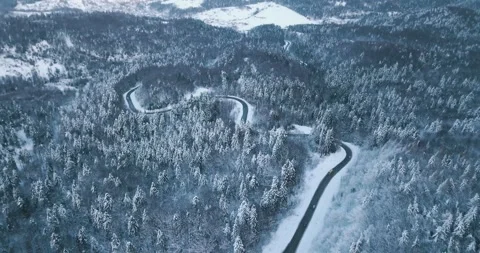 The mountain winter forest with road covered with snow Stock Footage 246866925