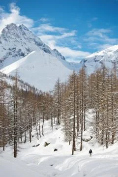 Mountain winter landscape Stock Photos