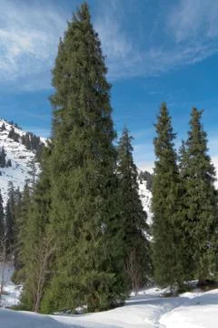 Mountain in winter Stock Photos