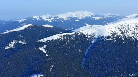 Mountain winter slopes covered with forest and snowy ridge in the distance Stock Photos