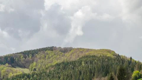 Mountain woods Stock Photos