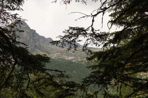 Mountain from the woods Foto stock