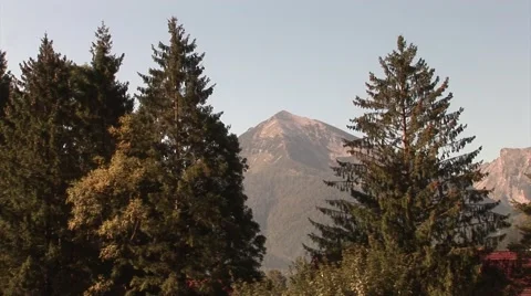 Mountain zoom between conifers in austrian alps. Stock Footage 43078424