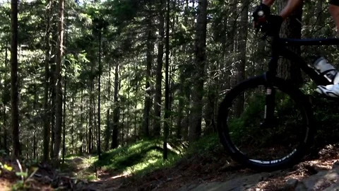 Mountainbiker downhill a difficult stone track in a forest slow Stock Footage 71370144