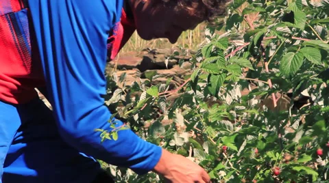 Mountainbiker Stock Footage 32350709