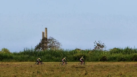 Mountainbikers on a Group Ride, Cycling on a Path in The Grasslands Stock Footage 129632708
