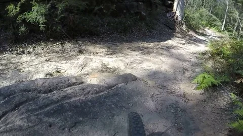 Mountainbiking point of view Video stock 80935768