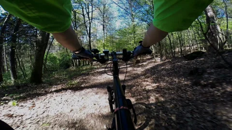 Mountainbiking  (POV) in a forest Stock Footage 38120883