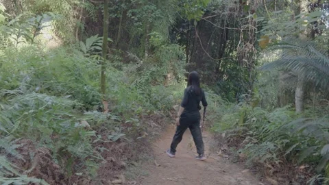 The mountaineer moves forward through the forest, holding trekking poles. Video stock 341801744
