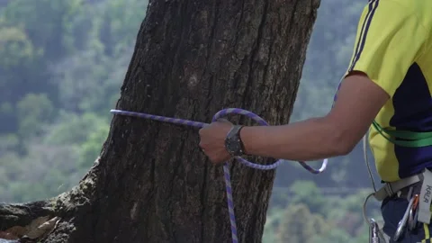 Mountaineers rescue Stock Footage 134402471