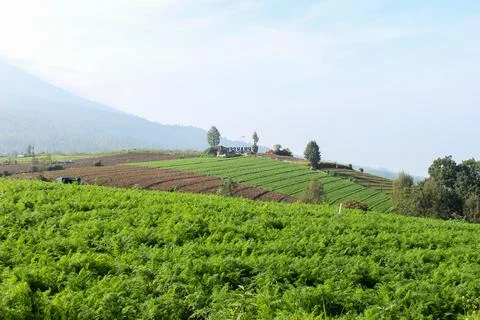 Mountainous Agricultural Fields Stock Photos