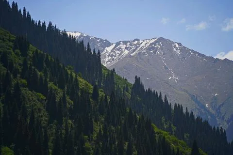 Mountainous area with different vegetation. Fotos de archivo