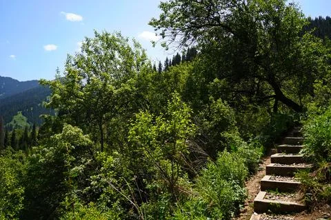 Mountainous area with different vegetation. 스톡 사진
