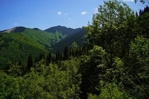 Mountainous area with different vegetation. 写真素材