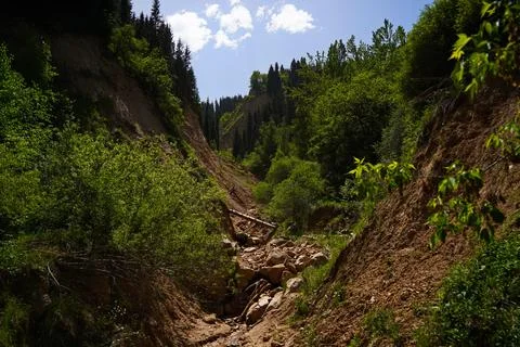 Mountainous area with different vegetation. Stock-Fotos