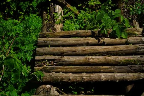 Mountainous area with different vegetation. Foto stock