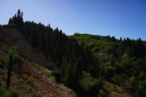 Mountainous area with different vegetation. Photos