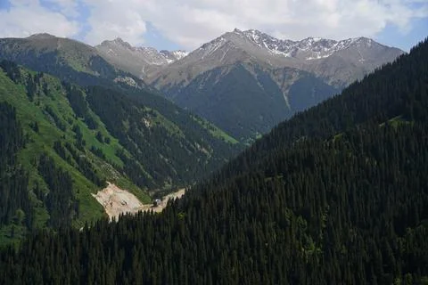Mountainous area with different vegetation. 스톡 사진