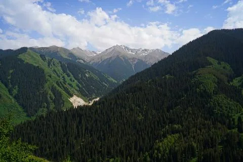 Mountainous area with different vegetation. Stock Photos