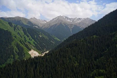 Mountainous area with different vegetation. Stock Photos