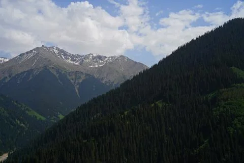 Mountainous area with different vegetation. 스톡 사진