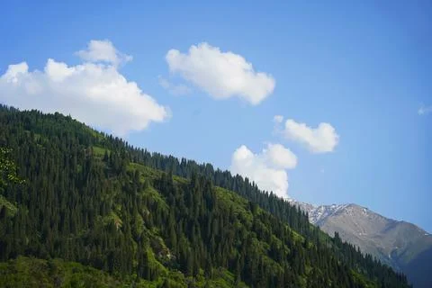 Mountainous area with different vegetation. Fotos de archivo