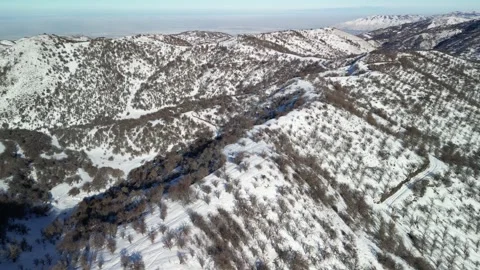 Mountainous area with different vegetation. The view from the drone. Stock Footage 297529663