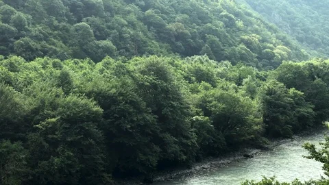 A mountainous area overgrown with dense forest Stock Footage 126318722