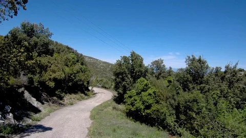 Mountainous country road between trees in northern Greece Stock Footage 114051809